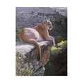 Trademark Fine Art Ron Parker 'Cougar Country' Canvas Art, 18x24 ALI32451-C1824GG